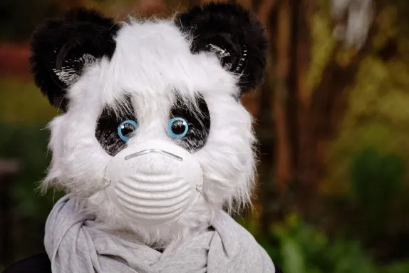 Casino Volcano Bingo Support